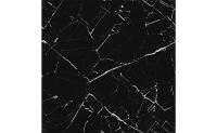 asqd01300601