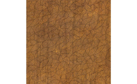asqd04100201