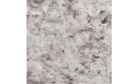 asqd04300601
