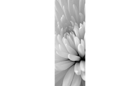 asqd100200301