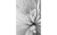 asqd100200302