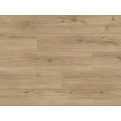 Classen Expedition Chiaro tölgy 66705